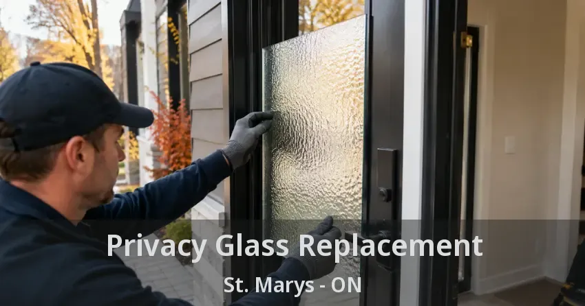 Privacy Glass Replacement St. Marys - ON